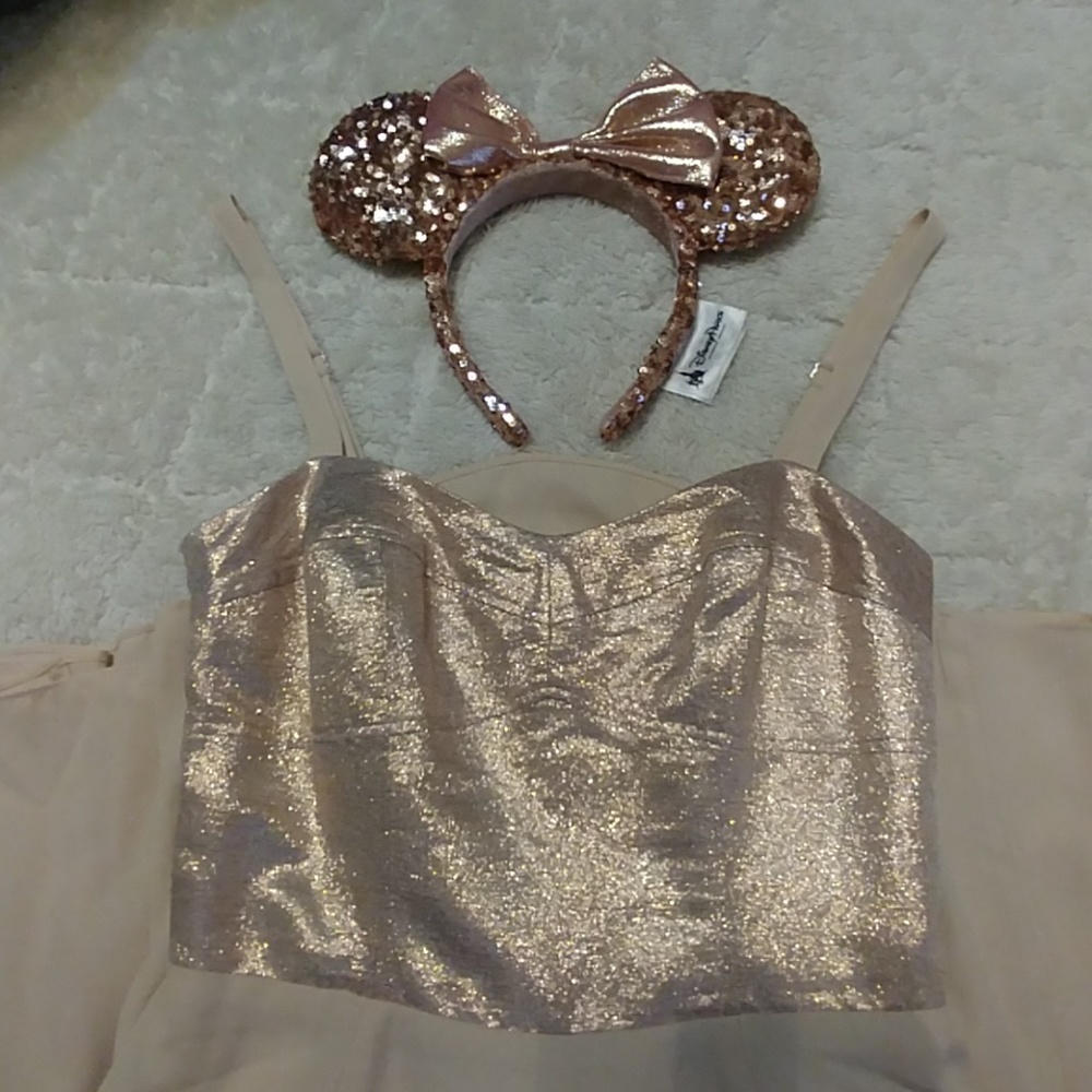 Express Rose Gold Shimmer Dress